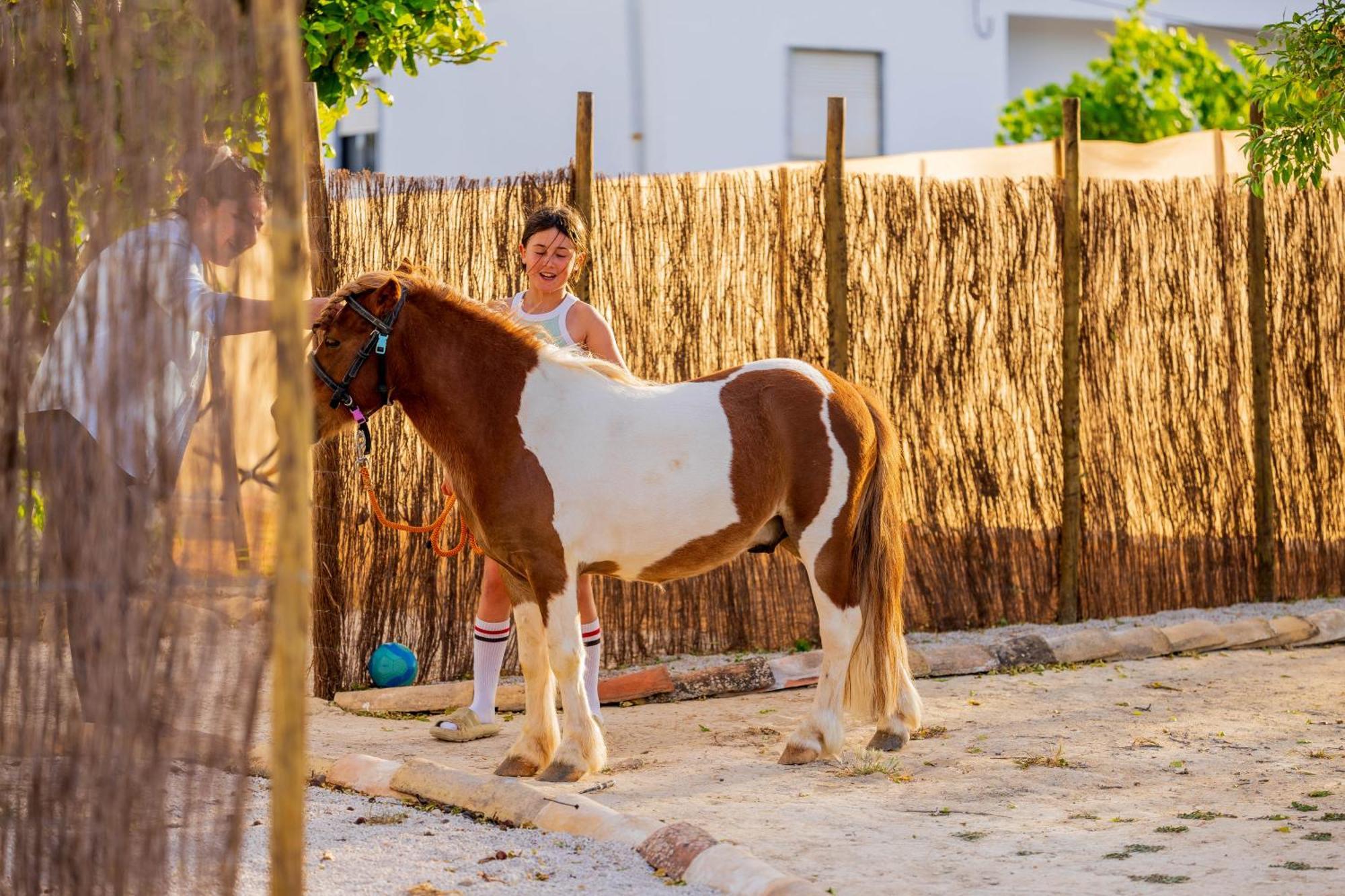 Willa La Quinta Da Liberdade - Ferme De Charme En Algarve Pechão Zewnętrze zdjęcie